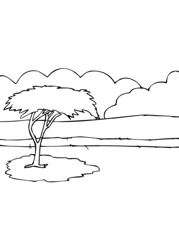 African Acacia Tree Coloring Page